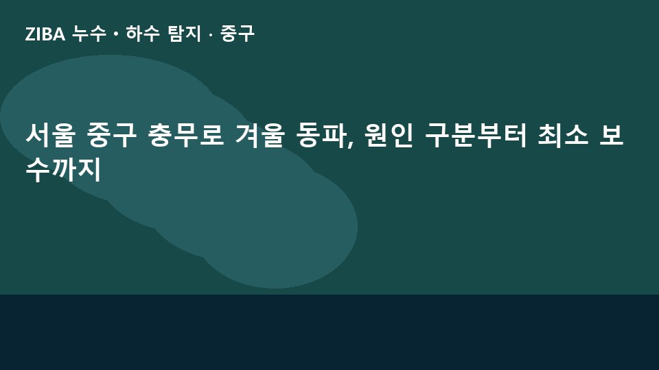 서울 중구 충무로 겨울 동파, 원인 구분부터 최소 보수까지