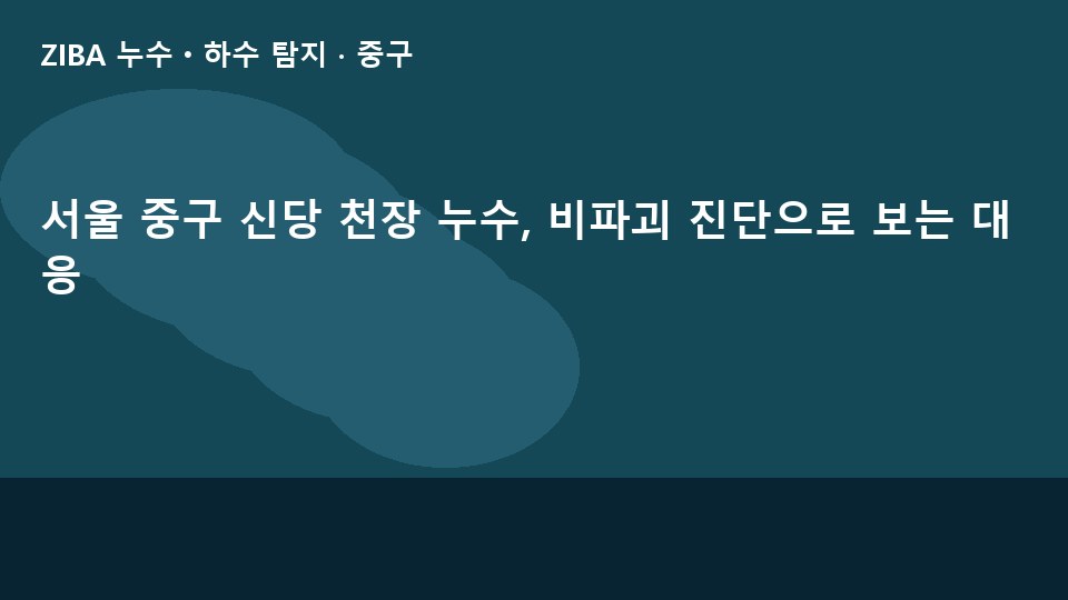 서울 중구 신당 천장 누수, 비파괴 진단으로 보는 대응