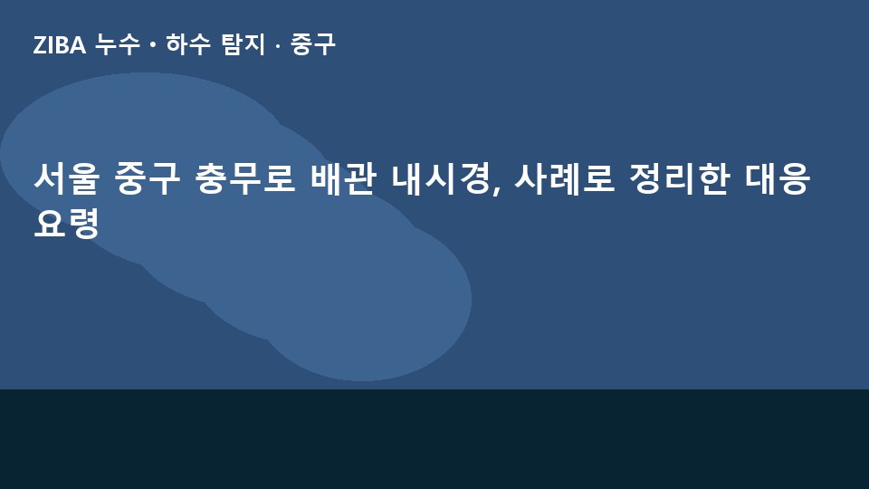 서울 중구 충무로 배관 내시경, 사례로 정리한 대응 요령