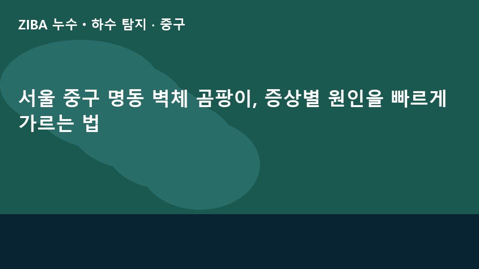 서울 중구 명동 벽체 곰팡이, 증상별 원인을 빠르게 가르는 법