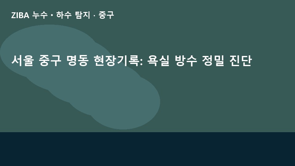 서울 중구 명동 현장기록: 욕실 방수 정밀 진단