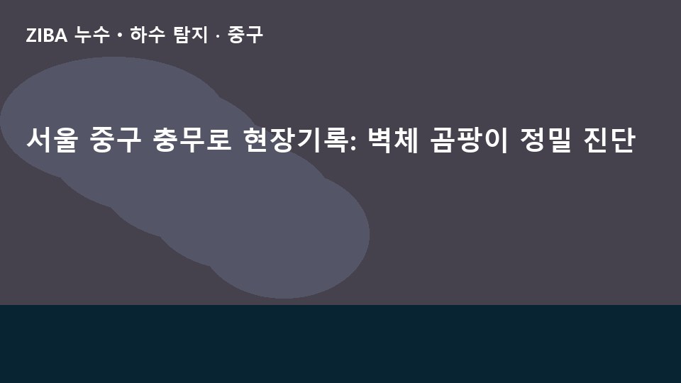 서울 중구 충무로 현장기록: 벽체 곰팡이 정밀 진단