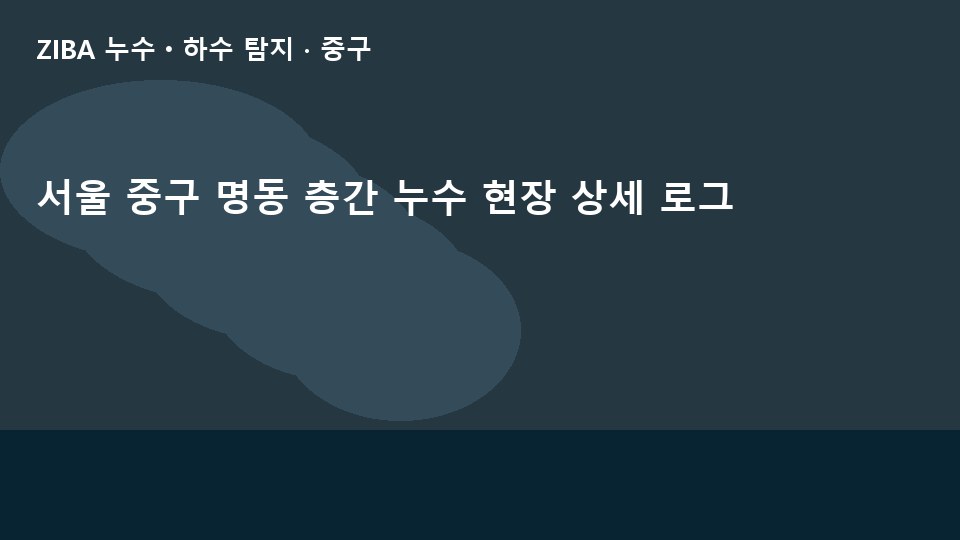 서울 중구 명동 층간 누수 현장 상세 로그