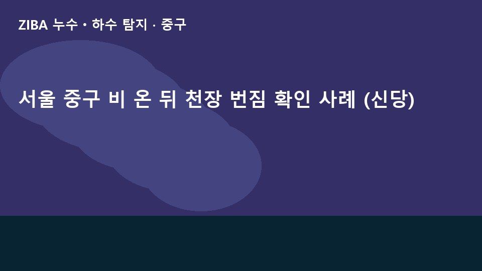 서울 중구 비 온 뒤 천장 번짐 확인 사례 (신당)