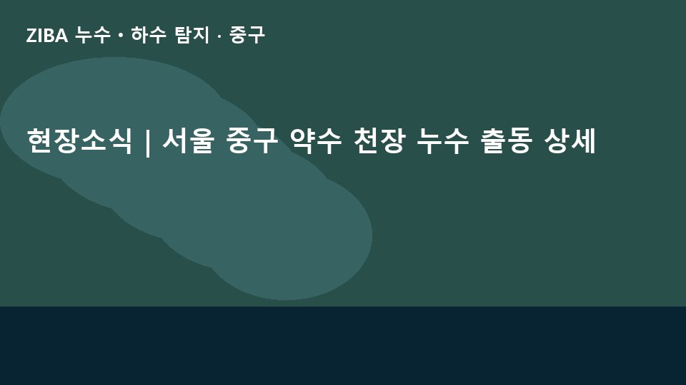 현장소식 | 서울 중구 약수 천장 누수 출동 상세