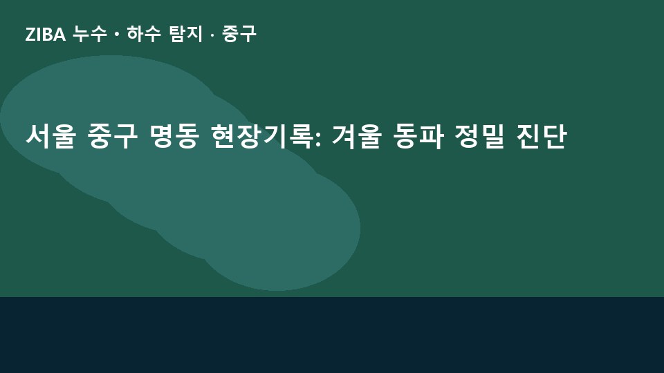 서울 중구 명동 현장기록: 겨울 동파 정밀 진단