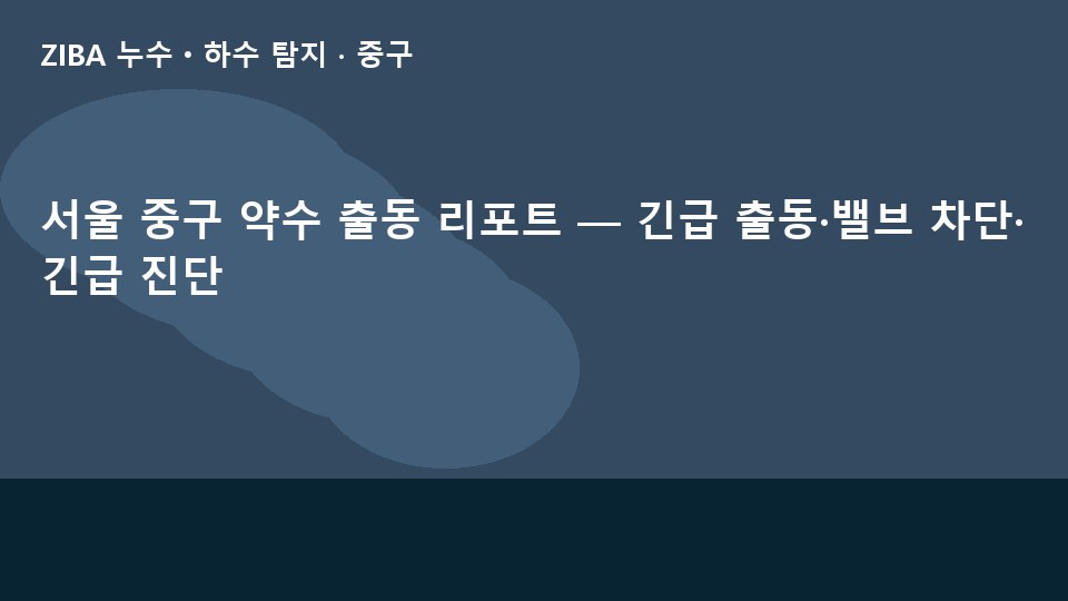 서울 중구 약수 출동 리포트 — 긴급 출동·밸브 차단·긴급 진단