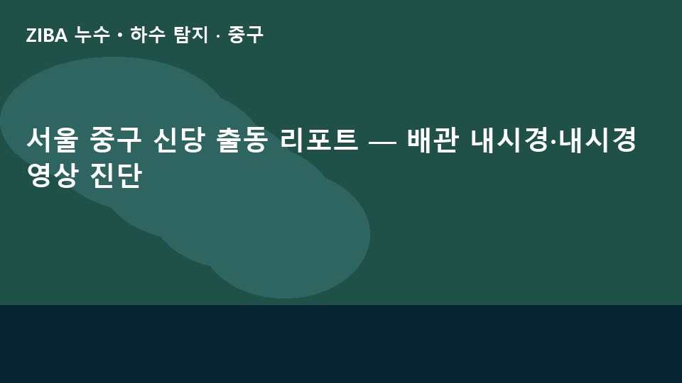 서울 중구 신당 출동 리포트 — 배관 내시경·내시경 영상 진단
